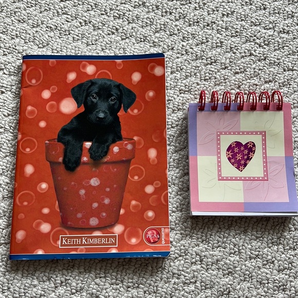 Other - Set of 2 notebooks, one with square grid and one lined